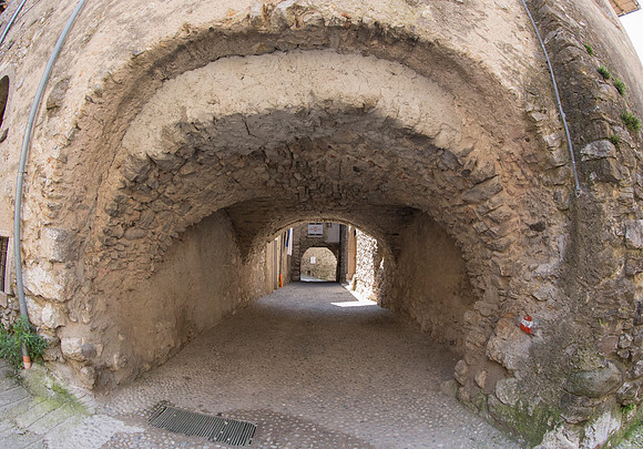 _MG_1255