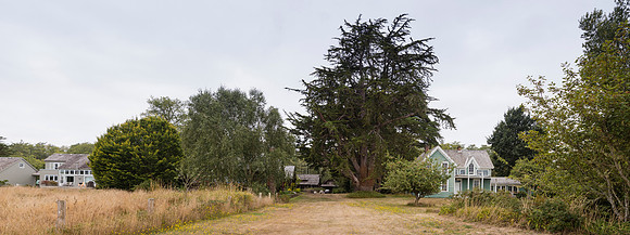 _69A2051-Pano