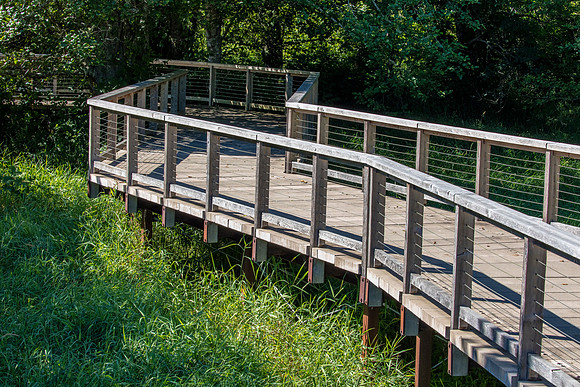 _69A1878-HDR